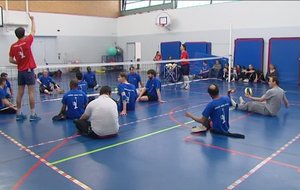 Bienvenue sur le site officiel du Volley Assis en France